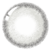 Lenstown Cookiean2 Charcoal Gray (1 Pack)